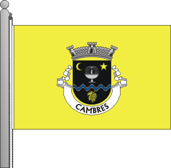 Bandeira da freguesia de Cambres