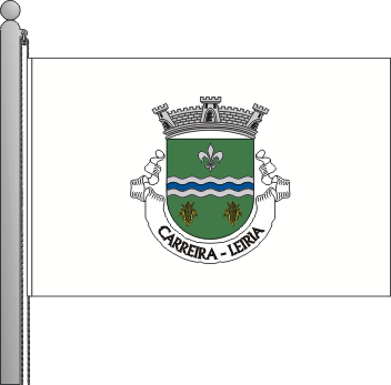 Bandeira da freguesia de Carreira