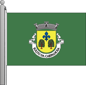 Bandeira da freguesia de Souto da Carpalhosa