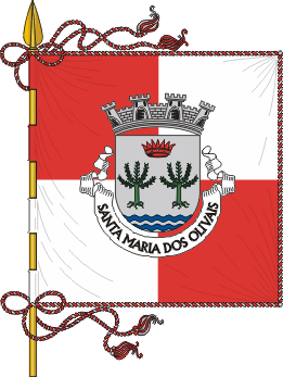 Estandarte da freguesia de Santa Maria dos Olivais