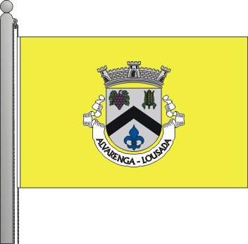 Bandeira da freguesia de Alvarenga