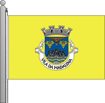 Bandeira do municpio da Madalena