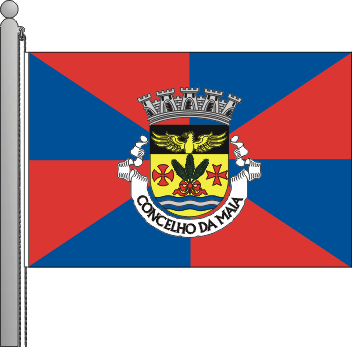 Bandeira do município de Maia