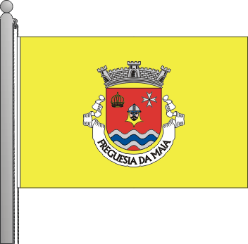 Bandeira da freguesia da Maia