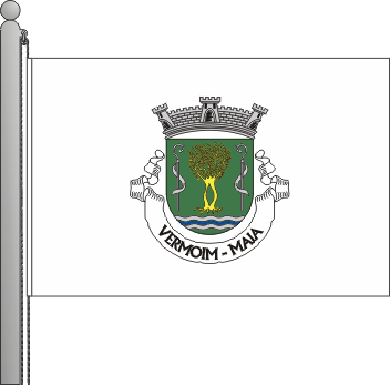 Bandeira da freguesia de Vermoim