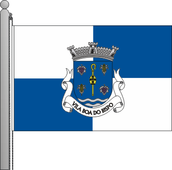 Bandeira da freguesia de Vila Boa do Bispo