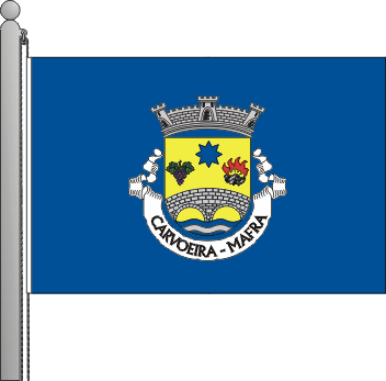 Bandeira da freguesia de Carvoeira