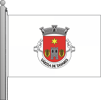 Bandeira da freguesia de Vrzea de Tavares