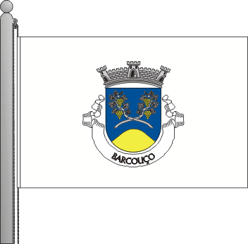 Bandeira da freguesia de Barcouo