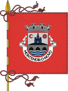 Estandarte do município de Montemor-o-Novo