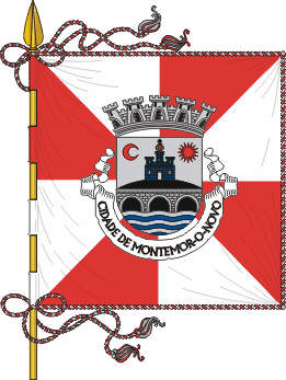 Estandarte do município de Montemor-o-Novo