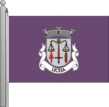 Bandeira da freguesia de Liceia