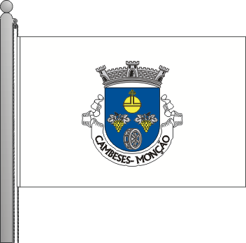 Bandeira da freguesia de Cambeses