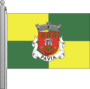 Bandeira da freguesia de Pavia