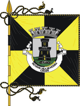 Estandarte do município de Moura