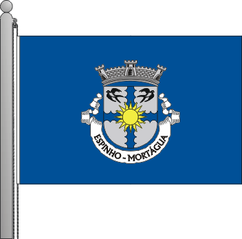Bandeira da freguesia de Espinho