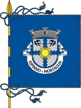 Estandarte da freguesia de Espinho