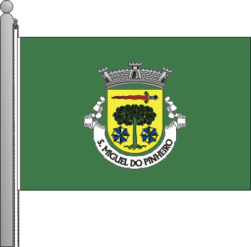 Bandeira da freguesia de So Miguel do Pinheiro