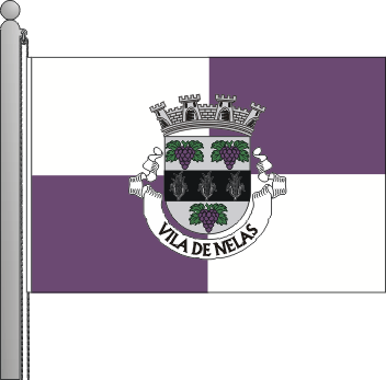 Bandeira do municpio de Nelas