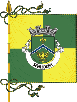 Estandarte da freguesia de Senhorim
