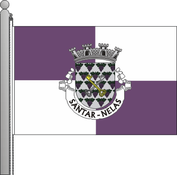 Bandeira da freguesia de Santar
