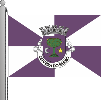 Bandeira do municpio de Oliveira do Bairro