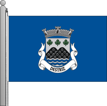 Bandeira da freguesia de Destriz