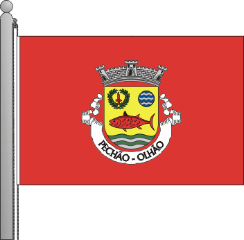 Bandeira da freguesia de Pecho
