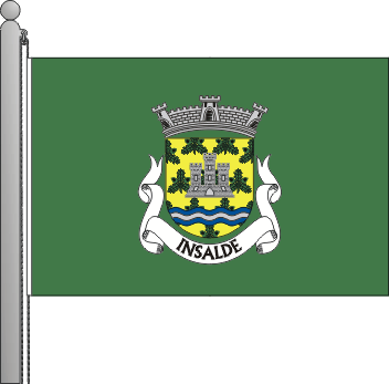 Bandeira da freguesia de Insalde