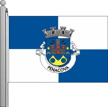 Bandeira do municpio de Penacova