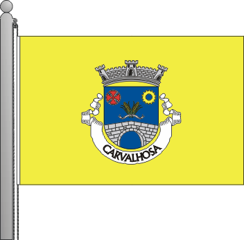 Bandeira da freguesia de Carvalhosa