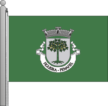 Bandeira da freguesia de Figueira