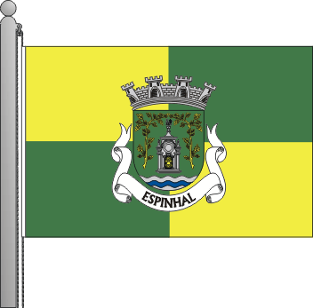 Bandeira da freguesia de Espinhal