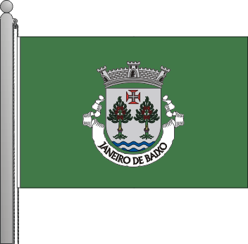Bandeira da freguesia de Janeiro de Baixo