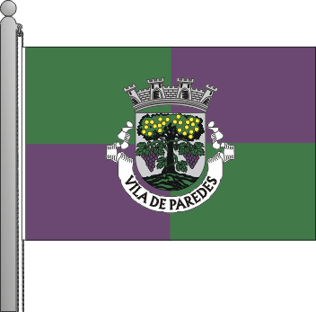 Bandeira do municpio de Paredes