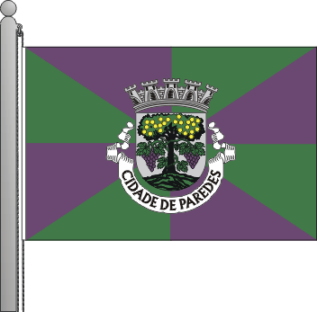 Bandeira do município de Paredes