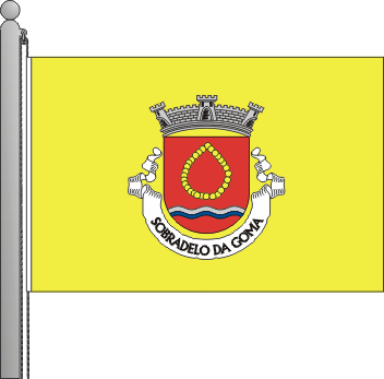 Bandeira da freguesia de Sobradelo da Goma