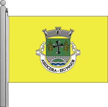 Bandeira da freguesia de Asseiceira