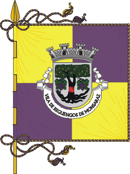 Estandarte do municpio de Reguengos de Monsaraz