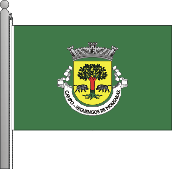 Bandeira da freguesia de Campo