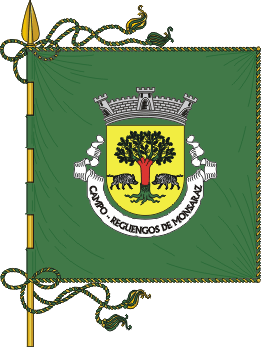 Estandarte da freguesia de Campo