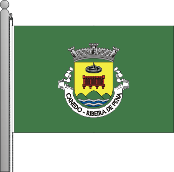Bandeira da freguesia de Canedo