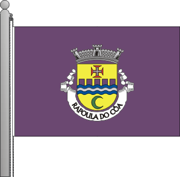 Bandeira da freguesia de Rapoula do Ca