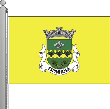 Bandeira da freguesia de Espinhosa
