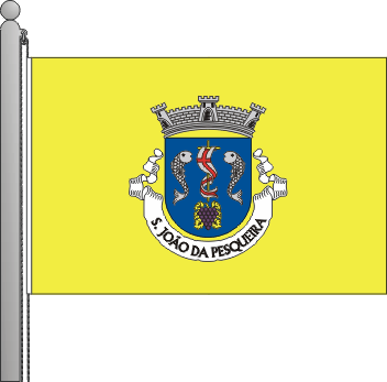 Bandeira da freguesia de So Joo da Pesqueira