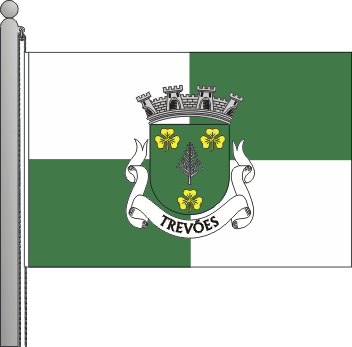 Bandeira da freguesia de Treves