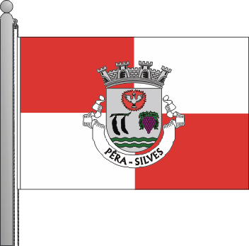 Bandeira da freguesia de Pra