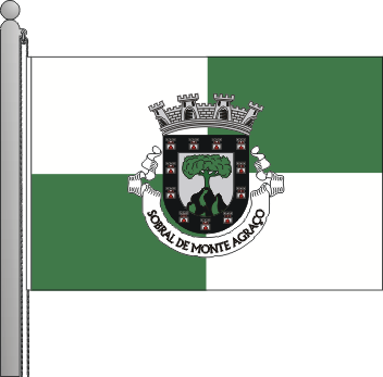 Bandeira do municpio de Sobral de Monte Agrao