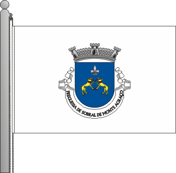 Bandeira da freguesia de Sobral de Monte Agrao
