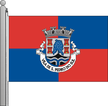 Bandeira do municpio de So Pedro do Sul